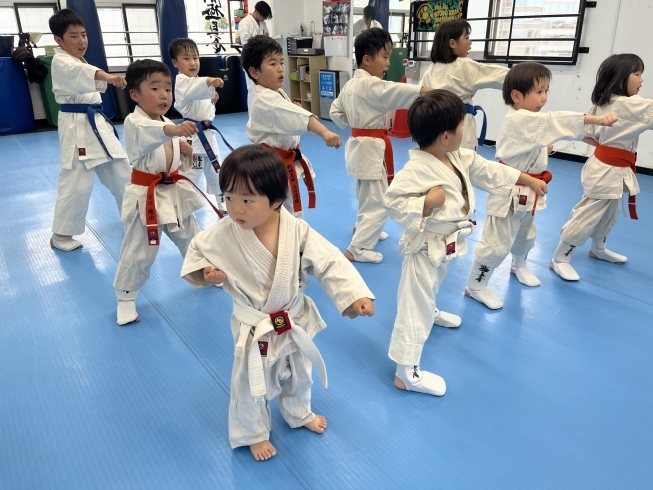 初級クラスも活気がありました❗️「5/30(木)の稽古風景≪ 明石/空手/スポーツ/運動/幼児/小学生/お稽古/習い事≫　」