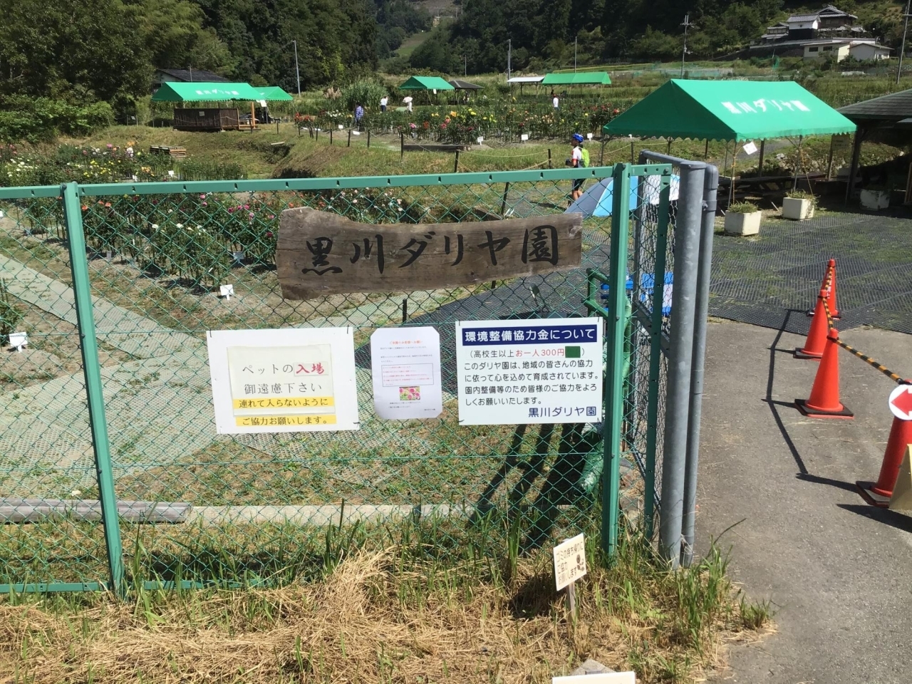 日本一の里山で秋を満喫 黒川の里山にダリアを見に行こう わが町のええとこ発見 こんなとこ 行ってきました まいぷれ 川西 三田 猪名川