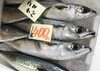 「魚魚市場鮮魚コーナーおすすめは「牡蠣」です♪」
