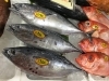 「魚魚市場鮮魚コーナーおすすめは「ハガツオ・天然ヒラス・天然ぶり」です♪」