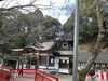 「初詣はサムハラ神社参拝しました。」