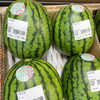 「信州産『スイカ』入荷しました！」