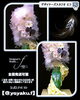 「布に抱きしめられて〜お誕生日お祝いの枯れないお花〜【福山駅近くのおしゃれな花屋】」