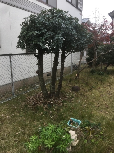 施工後「庭のお手入れは今年のうちに♪【浜松で遺品整理・生前整理・お掃除・不用品回収ならプロハーツ】」