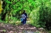 心と身体の為にも森へお散歩に行きましょう！「「土壌菌（どじょうきん）」ってしってますか？　一体何なのでしょうか？」