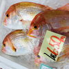「魚魚市場鮮魚コーナーおすすめ商品は「アマダイ・レンコ鯛」です♪」