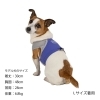 「猛暑のお散歩中も、ヒンヤリ快適に。」