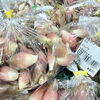 「農産物直売所 地元産の新鮮野菜が並びます！」