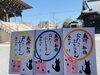 3月15日は限定御朱印もお渡ししています♪「【2026年3月】春の御滝不動尊・行事カレンダー｜落語・マルシェ・桜コンサート開催！」