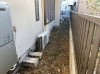 After「【草刈りや除草も🍃】塗装以外の業務も請け負います！　 習志野・船橋・八千代の住宅に関するお悩みならまるっと井手塗装にお任せ💪」