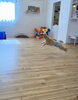 おもちゃで遊んだよ　ジャンプも出来るよ「ましゅまろ幼稚園🐾＆新入園児さん」