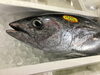 「魚魚市場鮮魚コーナーおすすめは「ゴマサバ・キンメダイ」です♪」