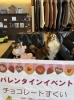 バレンタインイベントきてね「週末バレンタインイベントはじまりました💘たくさんのご来店ありがとうございます💕💕」