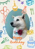 「Dog salon mofu mofu　余市町」