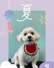 「Dog salon mofu mofu　余市町」