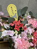 「わんちゃんの雌用お供えアレンジ—心を癒す色花で思いを届けます」