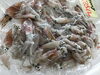 「魚魚市場鮮魚コーナーおすすめは「カナトフグ」です♪」