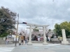 「三嶋大社の桜」