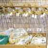 「『しめ縄・正月飾り・鯛飾り』販売開始！道の駅木曽福島」