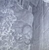 枕にしています「#45.🐘ミラクル」