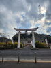 埴生神社「サクラ(北九州市八幡西区若葉にある少人数対応安心低価格の直葬.家族葬専門葬儀社です。小倉にも会館がございます)」