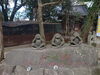 「初詣がまだだったんで柳川総鎮守日吉神社へ‼️YouTube見てね(^O^)‼️。」