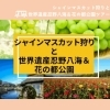 「株式会社旅倶楽部　ツアーのご紹介【トリコカワグチ掲載店の最新情報】」