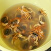 サワガニ素揚げ「魚沼市の和食料理店　旬食や　香秀(かしゅう)です　旬な食材が豊富です！！」
