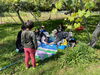 みんなで美味しく頂きました😋✨「ぶどう狩りに行ってきたよ〜🍇🌿【札幌市北区篠路　児童発達支援　放課後等デイサービス】」