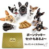 ボーンクッキーのご紹介「健康的で美味しい！愛犬とシェアできるワンちゃん用クッキー｜魔法洋菓子店ソルシエ」