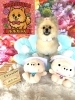 ポメラニアン　カット「🐶ラフコリー、ポメラニアン、チワワ、トリミングのお友達🌷」
