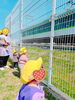 電車「おーーーい‼️」「いいお天気でしたね 【交野市 小規模保育園】」