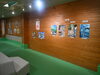 入賞作品39点を展示中②「第38回動物画コンクール入賞作品展」