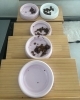 お留守番中のお食事の管理も お任せ下さい「夏季休暇でのご利用はもちろん〜でも 普段使いでもどうぞ!猫ちゃんだけのお留守番を安心安全にキャットシッターがサポート!」