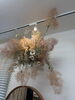 「ラルムの店内はお花や植物が沢山です。」