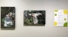 自分で撮りましたとのキャプション付！( *´艸｀)「新見美術館「93歳のフォトグラファー西本喜美子展」10月3日まで！」