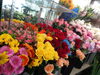 切り花色々入荷しました「お花が入荷しています！」