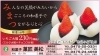 和菓子 菓匠美松