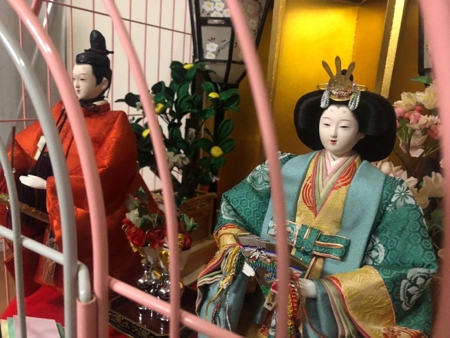 大切な宝物も 猫ちゃんが居ると…「料金の一部 改定!さらにシッターがご利用頂きやすく!〜猫ちゃんだけのお留守番を安心安全にサポート〜」