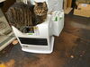 ストーブの上のしまこ「冬の猫たちいろいろ」