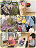 「お誕生日会をしました🎉【交野市・小規模保育園】」
