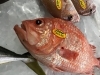 「魚魚市場鮮魚コーナーおすすめは「のどぐろ・エビスダイ」です♪」