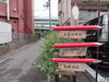京成電鉄「四ツ木駅」より徒歩5分♪「『第1回 下町の鉛筆屋杯！塗り絵チャレンジ』Twitterイベント実施中！葛飾区四つ木『北星鉛筆』さんを訪問♪」