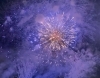花火１