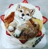 「世界に一つの記念日ケーキ🎂は当店にお任せください🎉　　【京阪牧野駅から徒歩4分】」