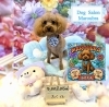 トイプードル　カット「🐶ゴールデン、トイプードル、トリミングのお友達🌷」