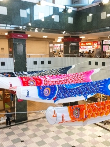 プララ杉田に鯉のぼり まいぷれ編集部が行く イソカナ活動日記 まいぷれ 横浜市磯子区 金沢区 プララ杉田に鯉のぼり まいぷれ編集部が行く イソカナ活動日記 まいぷれ 横浜市磯子区 金沢区