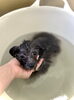 入浴中〜「はじめまして　^ - ^」