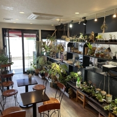 【開店】植物をテーマにしたカフェ「Plants Plan Cafe」がオープン