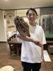 モリフクロウのももちゃん「生後1ヶ月のメンヒナ展示中」